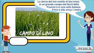 Fibre Tessili Il Lino. Facile In 3 Minuti. Con Quiz Esterno