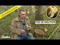 Ref:Bn_1iKgaFsY   dcouvrez le champignon pied de mouton avec jean-marie polese  