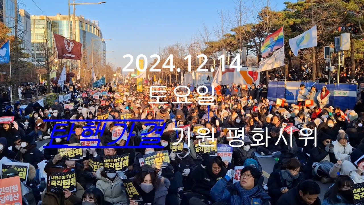호플레이(HoPLAY) - 2024.12.14. 탄핵찬성 여의도 시위 참여영상 - YouTube