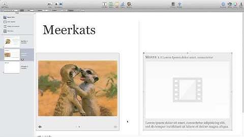iBooks Author Video widget