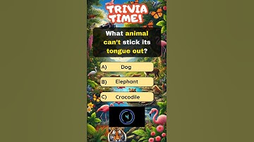 🚀 Super Fun Trivia Questions! Can You Get All Correct?! 🧠🫵🤯 #funtrivia #quiz
