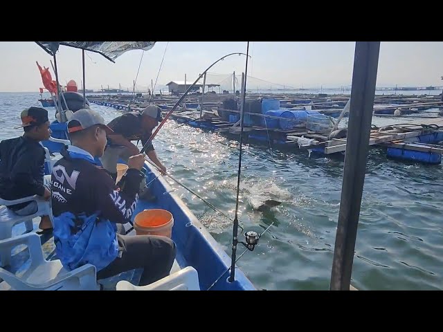 18/05/2024 Trip Mancing at Sangkar Sungai Udang Penang class=