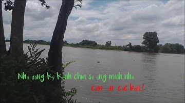 địa  điểm câu cá  sông  sài gòn  (cầu  rạch  tra quan 12)