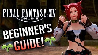 A Beginner’s Guide To Final Fantasy XIV