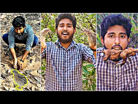 I MADE VERY SIMPLE QUAIL TRAP USING CARDBOARD..🤪 ( Hunting & Cooking!🔥 )