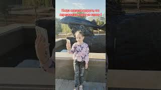 #shortsvideo #тренд #youtubeshorts #youtube #funny #shortvideo #shorts #short