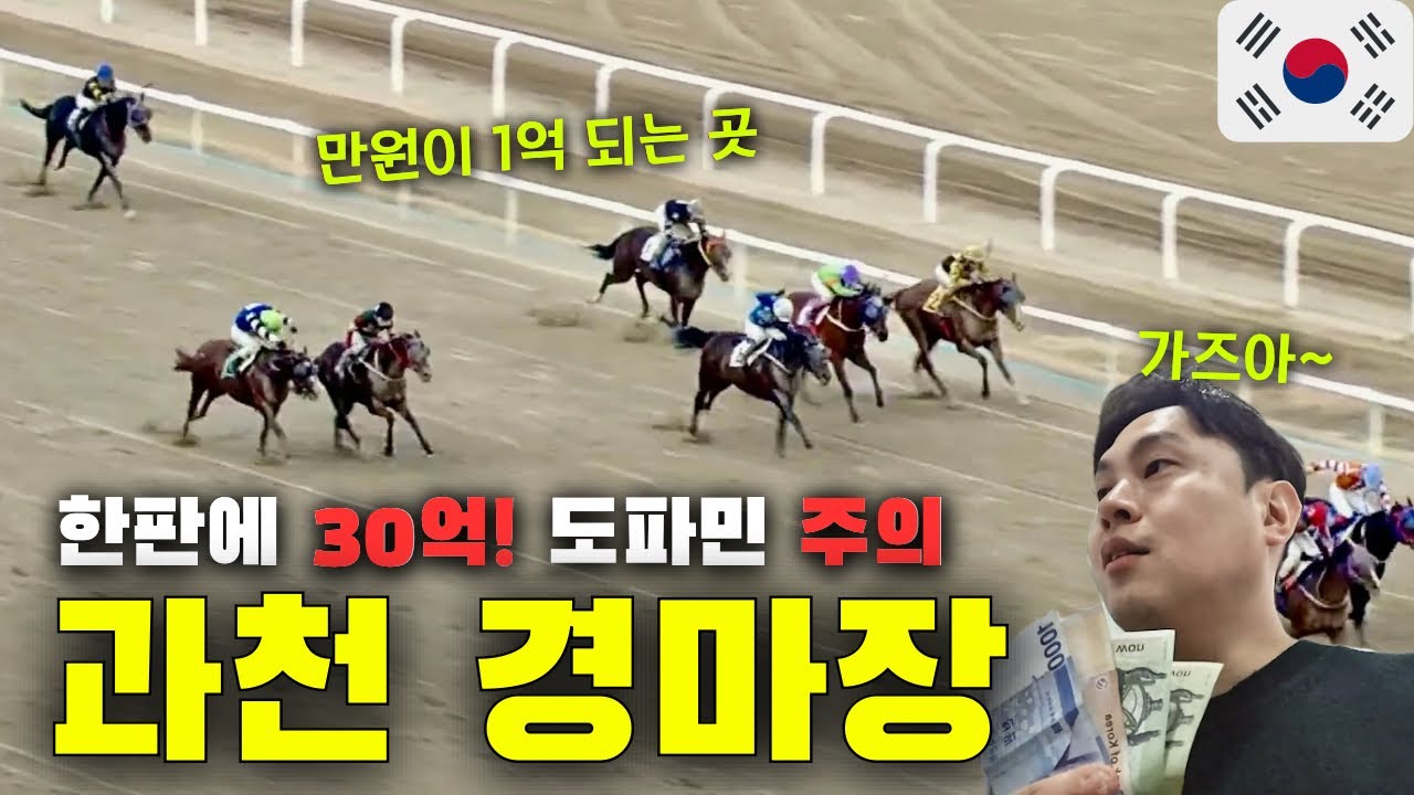 나는 경마로 유학까지 다녀왔단 사실! 인생 첫 한국 경마장 그 결과는? - 한국