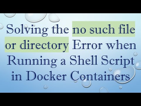 Solving the no such file or directory Error when Running a Shell Script in Docker Containers
