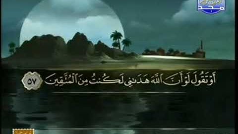 ما تيسر من سورة الزمر ياسر سلامة