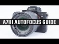 Sony A7III Autofocus Modes Explained