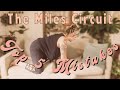 The miles circuit  top 5 mistakes while doing the miles circuit