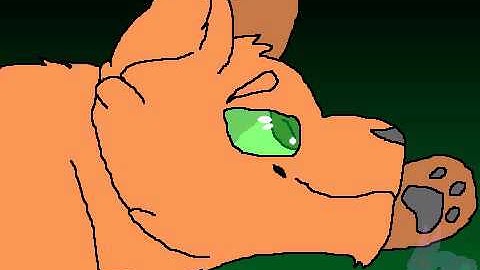 [2] Counting Stars Warriors MAP