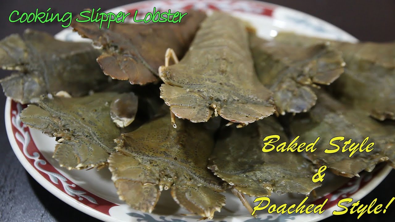 [Slipper Lobster] - Tried out cooking Sarawak Slipper Lobster and they are delicious!