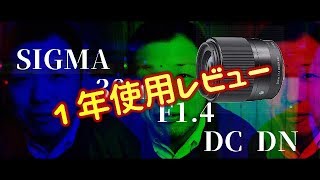 【カメラ】eマウント sigma 30mm f1.4 dc dn 1年使用レビュー！