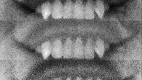 $uicideboy$ -Random Snippet 3