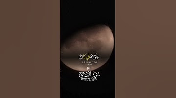 قران كريم صوت يريح القلب #اكسبلور