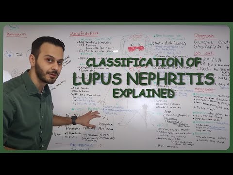 Video: Bradykinin 1 Reseptor Blokade Menundukkan Autoimunitas Sistemik, Peradangan Ginjal, Dan Tekanan Darah Pada Murine Lupus Nephritis