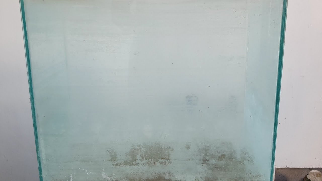 How to clean old Fish Tank from salt deposit ( Calcium and algae) YouTube