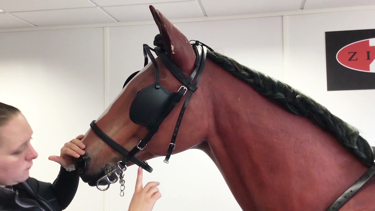 Fitting a Zilco Driving Bridle
