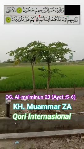#merdu #QSAlmuminun23ayat5-6 #khmuammarza #qoriinternasional #suaranya #top #viral #prawotovlog