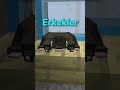 erkekler biraz şeydir