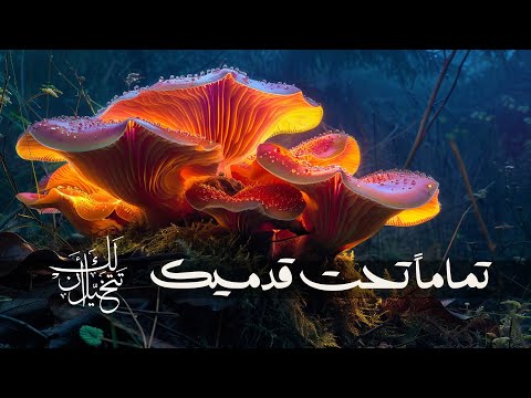 اللغز الذي حير العلماء كيف يعيش أقوى وأقدم كائن على الأرض 