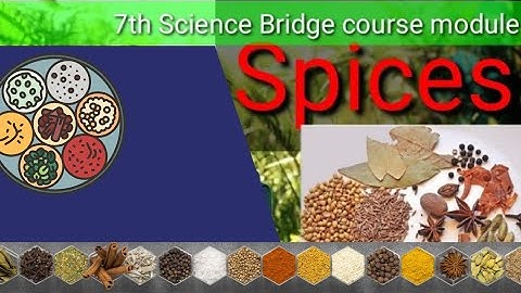 7th Science Bridge course module - Plant as spice with evaluation answers | Tamil and English Medium