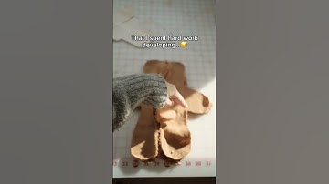 Website: CapyPlush.Store ! ❤️Link in Bio ‼️Need your support 🥹🎄#capybara #christmasgift #capy