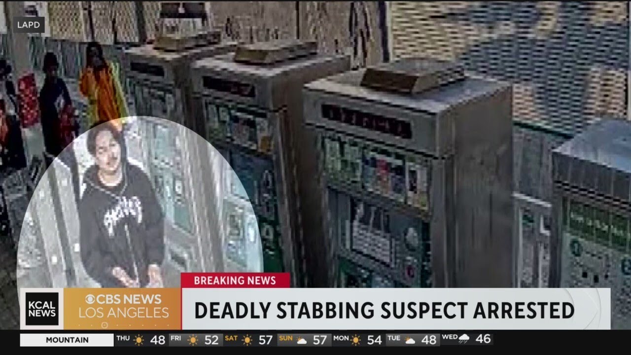 LA Metro deadly stabbing suspect taken into custody - YouTube