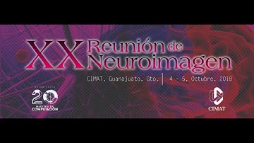 Nikola Stikov Ph.D: Myelin and g-ratio imaging