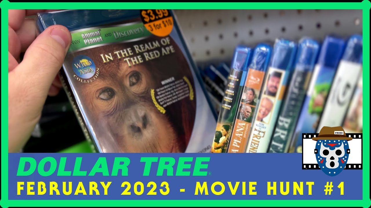 DOLLAR TREE February 2023 Blu Ray & DVD Movie Hunt 1 Very Small Haul