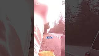 Man is arrested after stealing ex-girlfriend's chicken