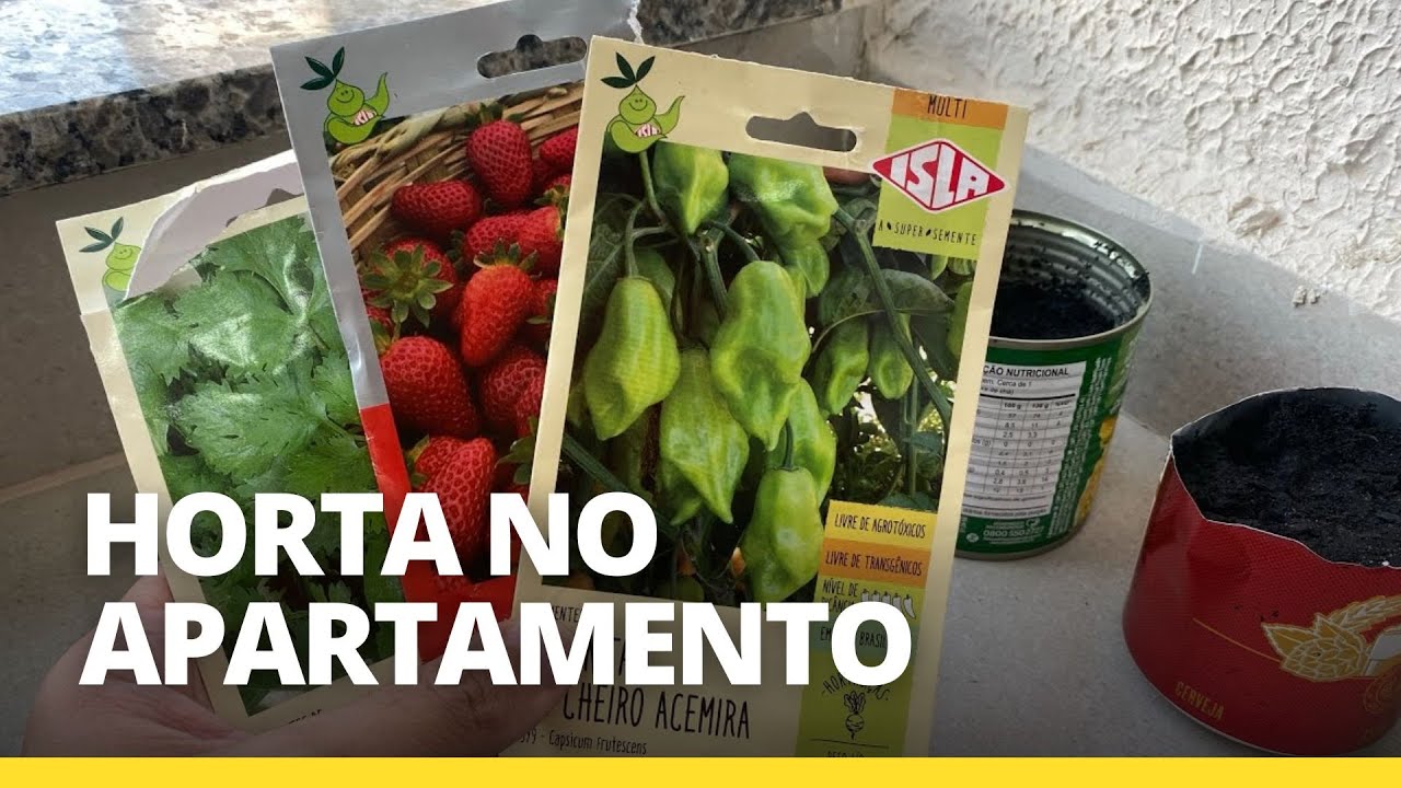 Horta em apartamento em 2023: passo a passo e será que funciona?