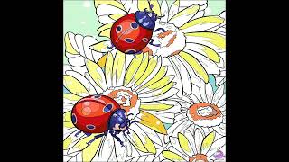 Tap Color - Two Red Ladybug And The Four Yellow Sunflower (Insect And Flower Pics) Tap Color - Two Red Ladybug And The Four Yellow Sunflower (Insect And Flower Pics)
