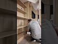 ЛУЧШИЙ каменщик в мире – и это не преувеличение! #short