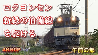 【午前編】EF64 1000番台貨物列車 新緑の伯備線を駆ける Part1
