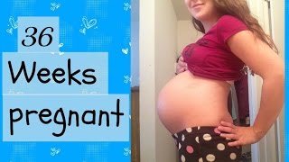36 weeks pregnant + belly shot