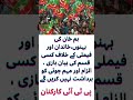 We will not tolerate any kind of rhetoric, accusations or adventures against Khan's sisters, family۔