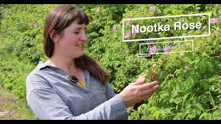 Coastal Native Plants – A Tour of Satinflower Nurseries