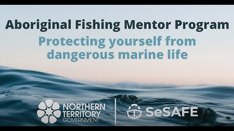 SeSAFE Training Module 2 - Dangerous Marine Life (Anindiliyakwa)