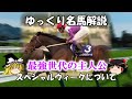 ゆっくり名馬解説　スペシャルウィークについて