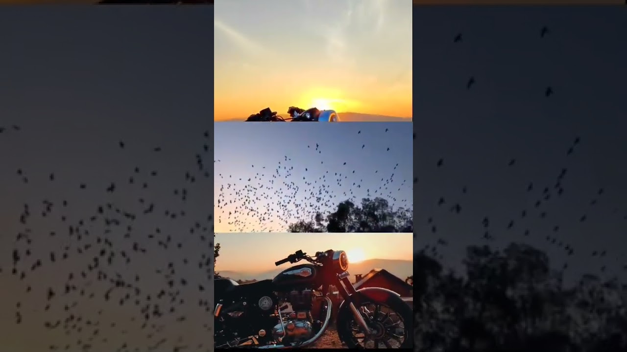 Dream bullet 👀 plz support 