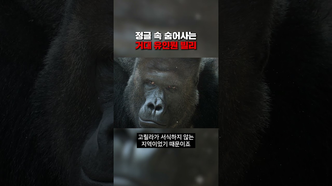 '라이온 킬러'라고 불리는 미스터리한 거대 유인원