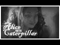 Alice & The Caterpillar Part 2 - by Adam Duff