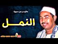 محمد محمود الطبلاوى النمــــل فى ذكـرى وفـاة المنشـاوى عام 1980م جودة عالية HD 