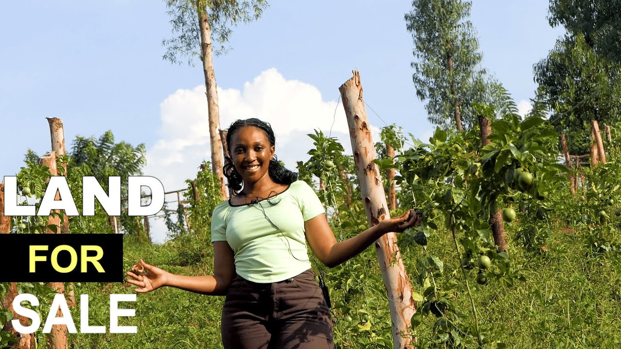 4.5 Hectares Prime Land Available in Bugesera (Kamabuye Sector) | Invest in Rwanda