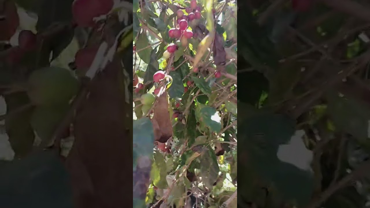 con respeto porque  te extraño desde tu partida papa increíble cancer