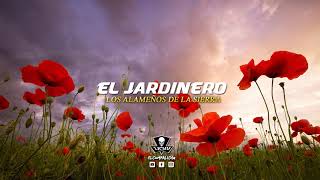 El Jardinero - Los Alameños De La Sierra chords