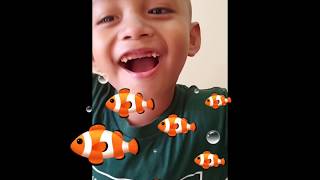 Rambut Baru Babang Adam