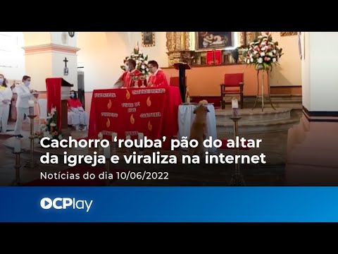 Cachorro ‘rouba’ pão do altar da igreja e viraliza na internet